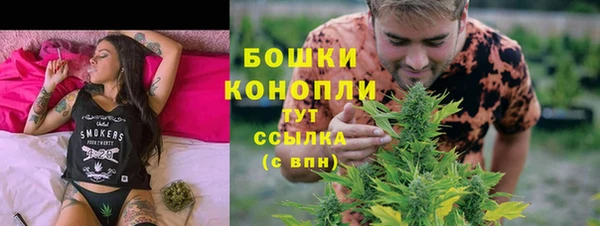 мдпв Осинники