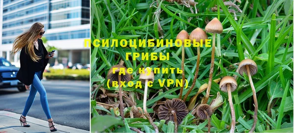 мдпв Осинники